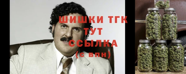 таблы Новодвинск