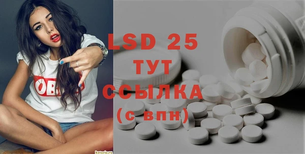 ГАЛЛЮЦИНОГЕННЫЕ ГРИБЫ Новозыбков