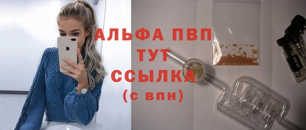 ГАЛЛЮЦИНОГЕННЫЕ ГРИБЫ Новозыбков