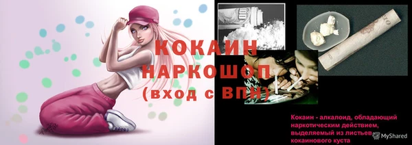 винт Новокубанск