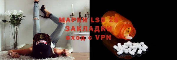 ГАЛЛЮЦИНОГЕННЫЕ ГРИБЫ Новозыбков