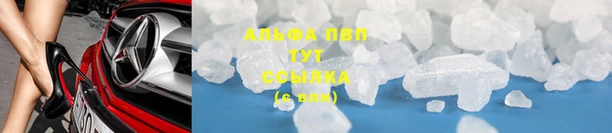 винт Новокубанск