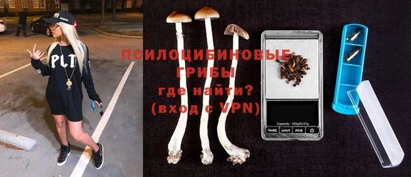 ГАЛЛЮЦИНОГЕННЫЕ ГРИБЫ Новозыбков