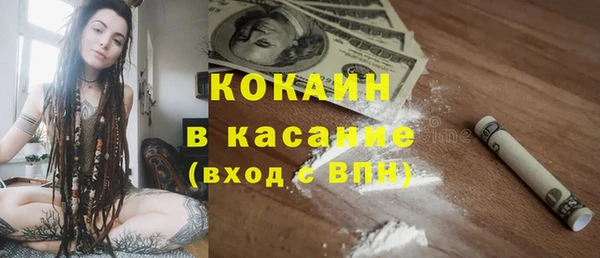ГАЛЛЮЦИНОГЕННЫЕ ГРИБЫ Новозыбков