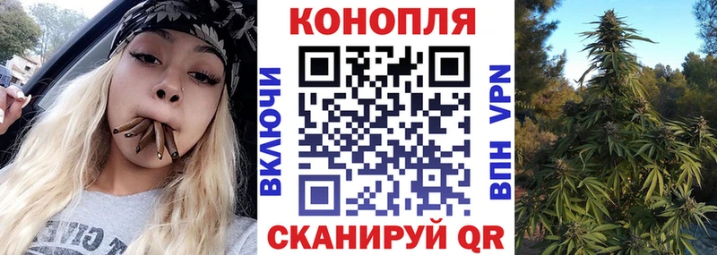 где продают Урус-Мартан Шишки марихуана THC 21%